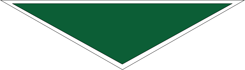 12th Carlisle Scout Group Necker 12th Carlisle Scout Group Necker